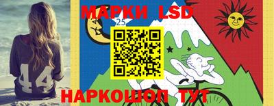 шишки Будённовск