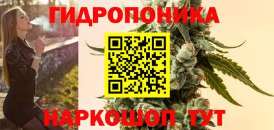 шишки Будённовск