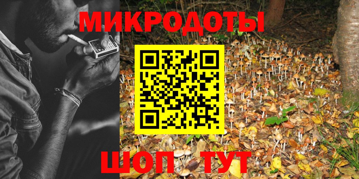 Галлюциногенные грибы Psilocybe  Вход с VPN  где купить наркоту  Новочебоксарск 