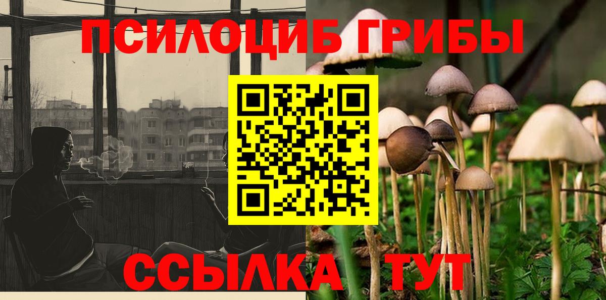 Галлюциногенные грибы MAGIC MUSHROOMS Новочебоксарск